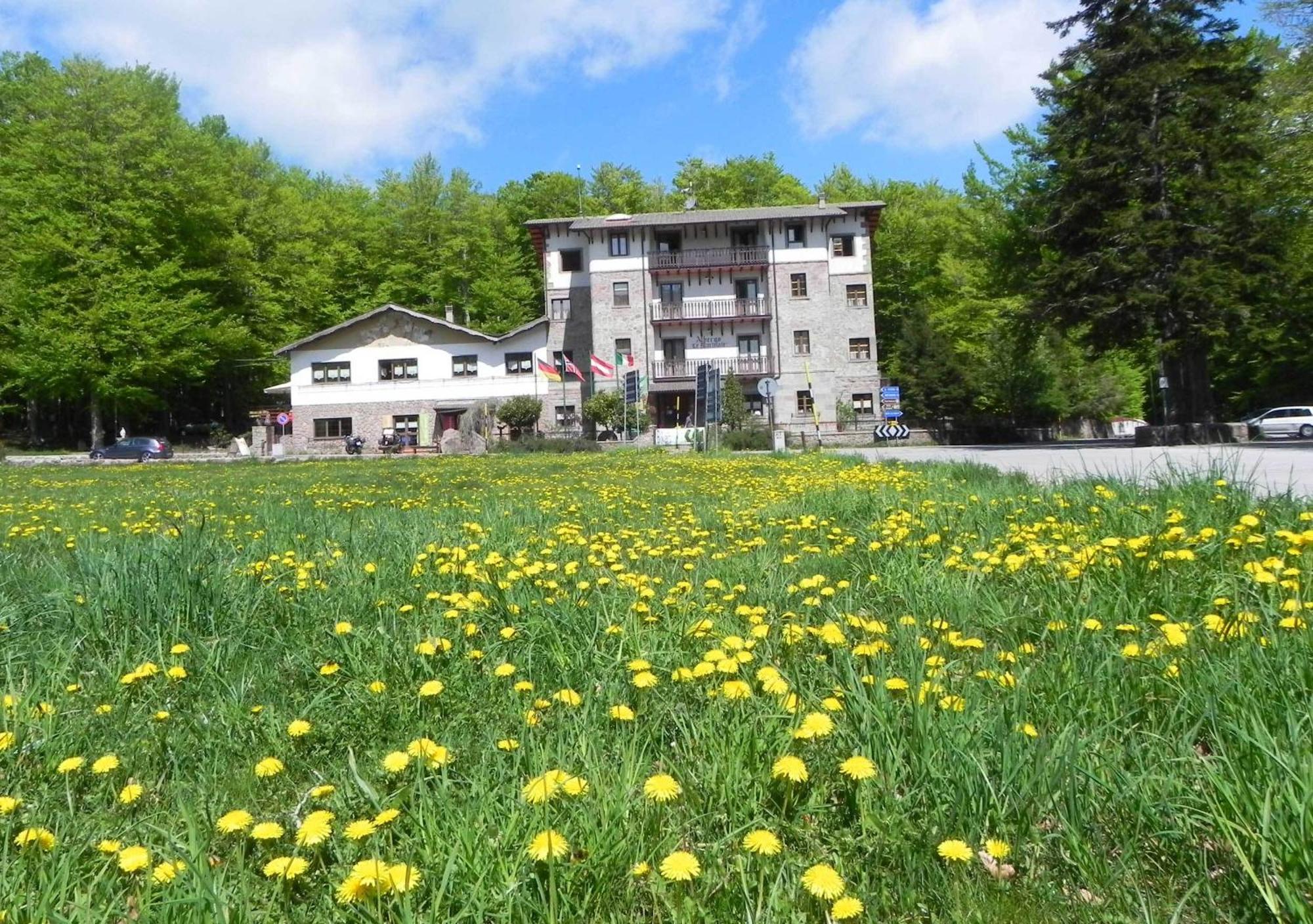 Albergo Le Macinaie - Monte Amiata Castel del Piano  Esterno foto