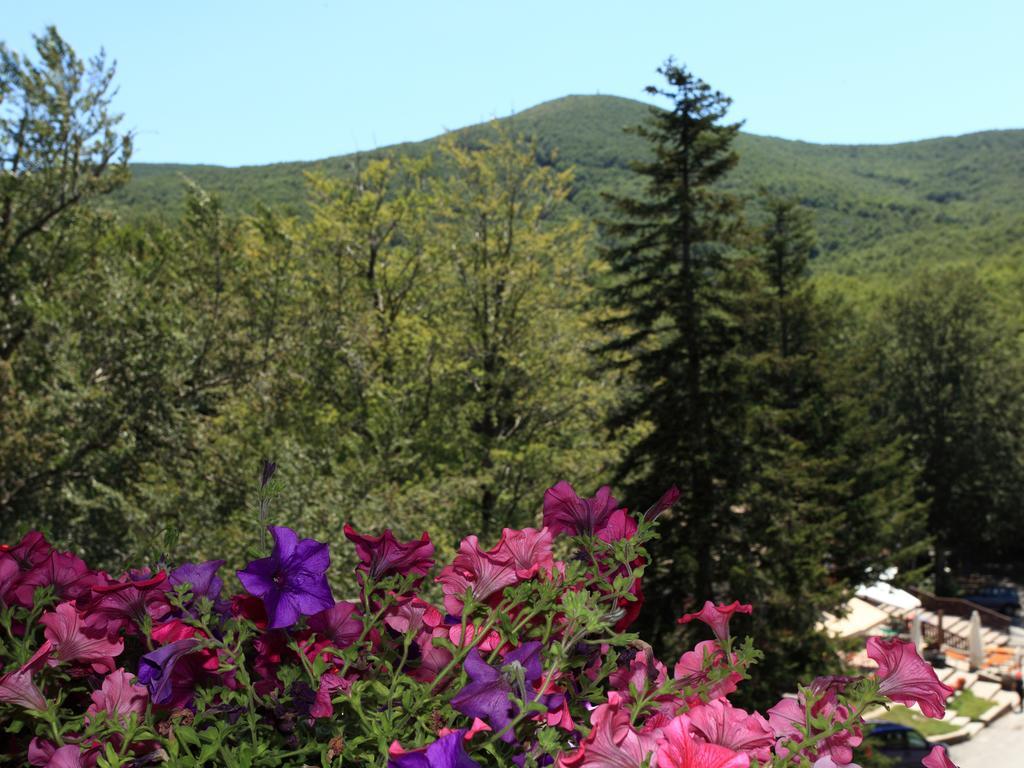 Albergo Le Macinaie - Monte Amiata Castel del Piano  Esterno foto